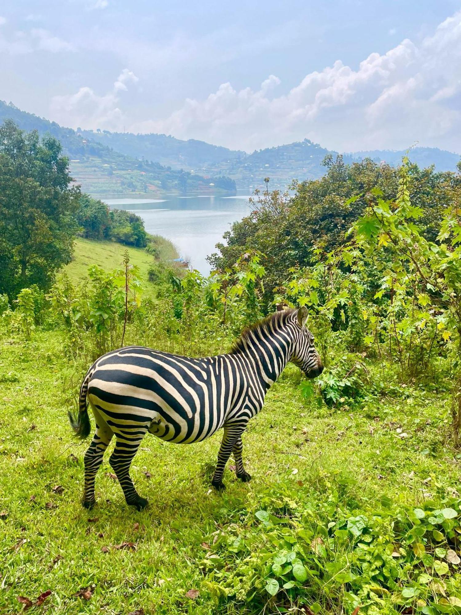 Kabale Om Hostel Bunyonyi מראה חיצוני תמונה